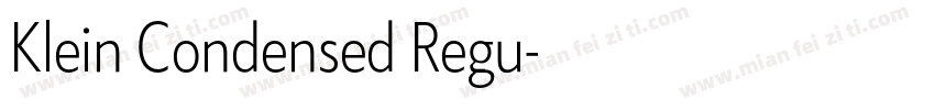 Klein Condensed Regu字体转换